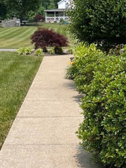 Sidewalk Cleaning after