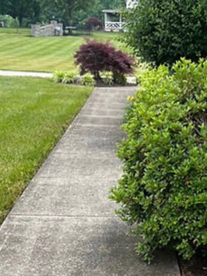 Sidewalk Cleaning before