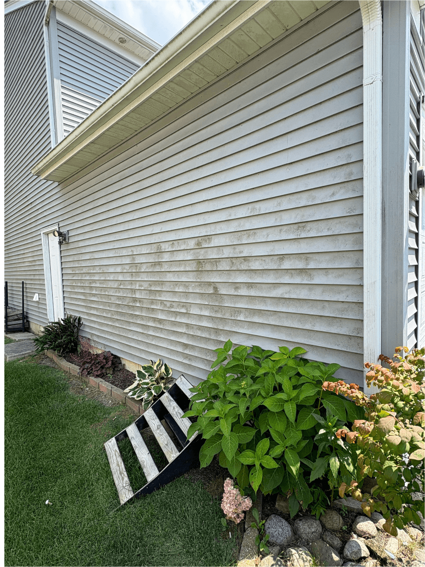 House Soft Wash before