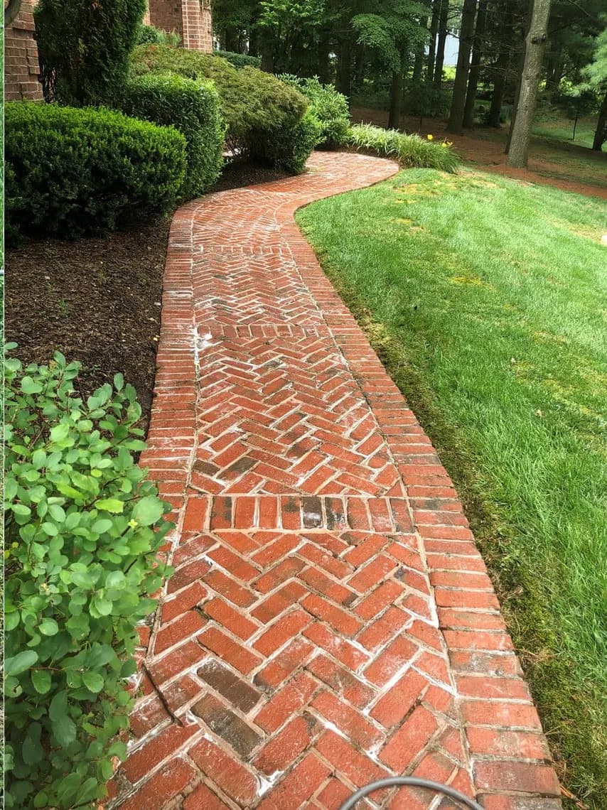 Brick Walkway Cleaning after