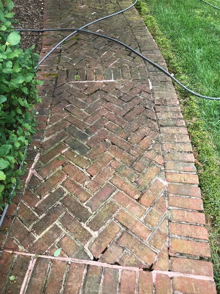 Brick Walkway Cleaning before