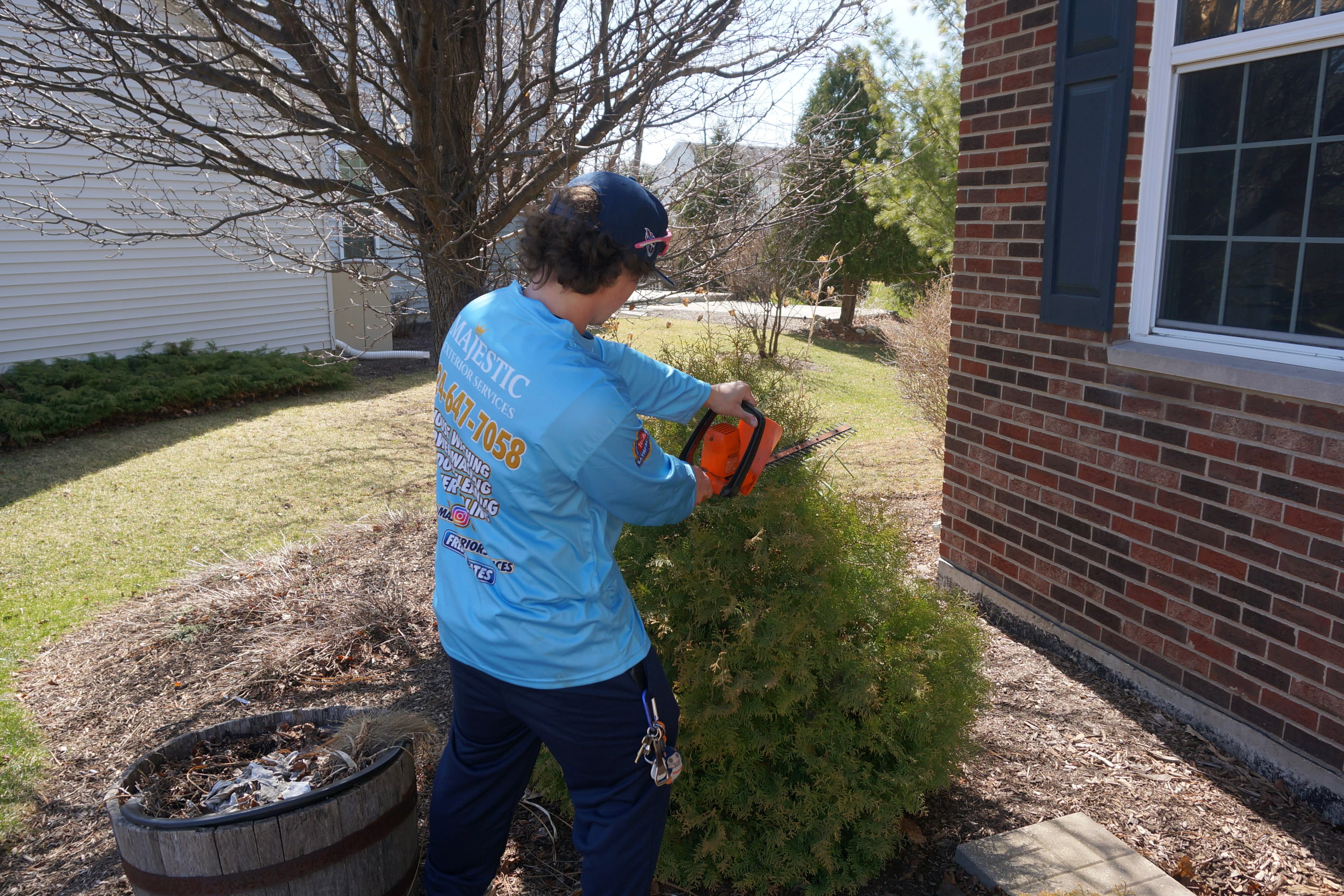 Bush & Shrub Trimming