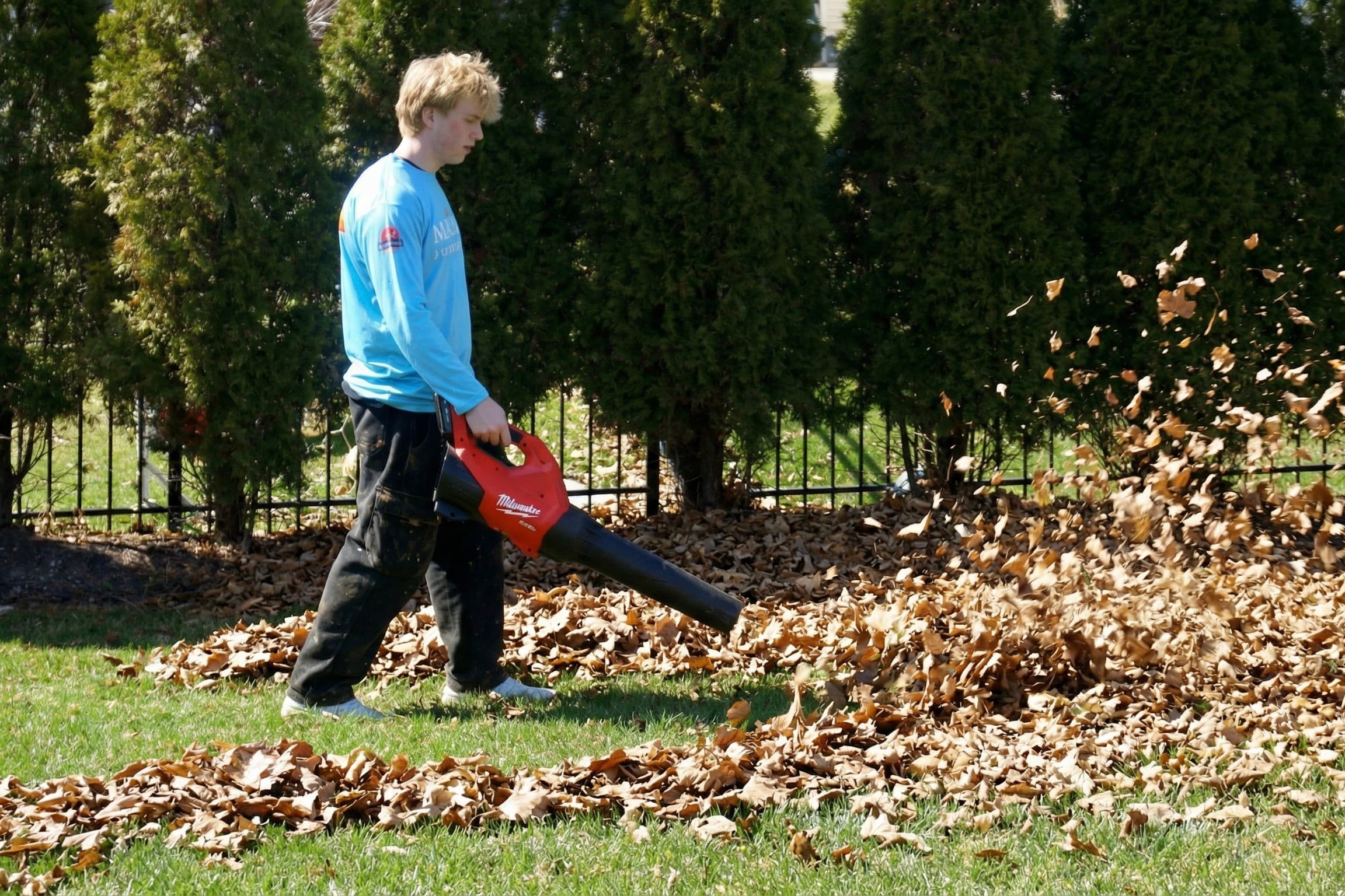 Leaf & Stick Removal